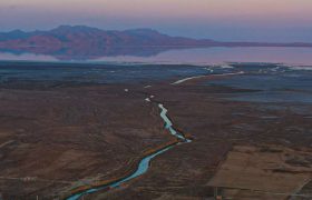 اشک تمساح مجازی‌ برای دریاچه اورمیه